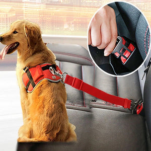 Leash For Pet Car Seat Belt